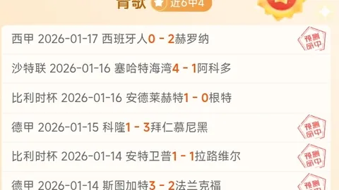 靴尔科治对阵利恩比：丹麦甲赛事期号专家质合推荐分析