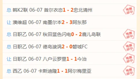 2026最新攻略连续四周辉煌战绩，周周赢不停，指南